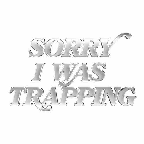 Sorry I Was Trapping